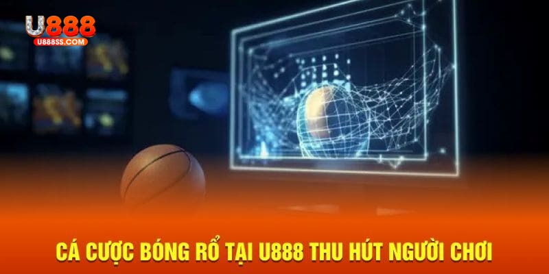 Bóng rổ là môn cực hot tại U888