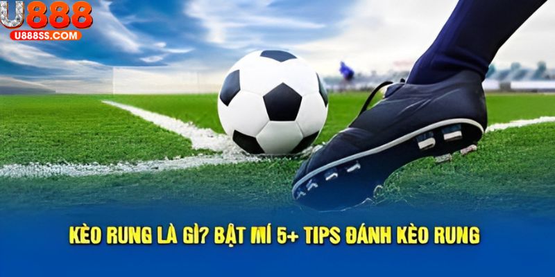 Bỏ túi một số mẹo hay giúp đặt cược kèo rung thắng lớn
