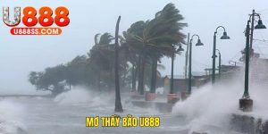 Mơ thấy bão U888