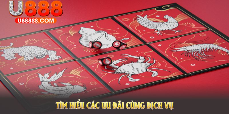 Tìm hiểu các ưu đãi cùng dịch vụ chuyên nghiệp tại sân chơi này